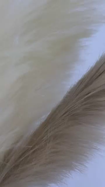 short about